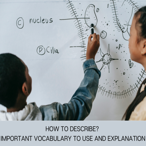 HOW TO DESCRIBE? IMPORTANT VOCABULARY TO USE AND EXPLANATION